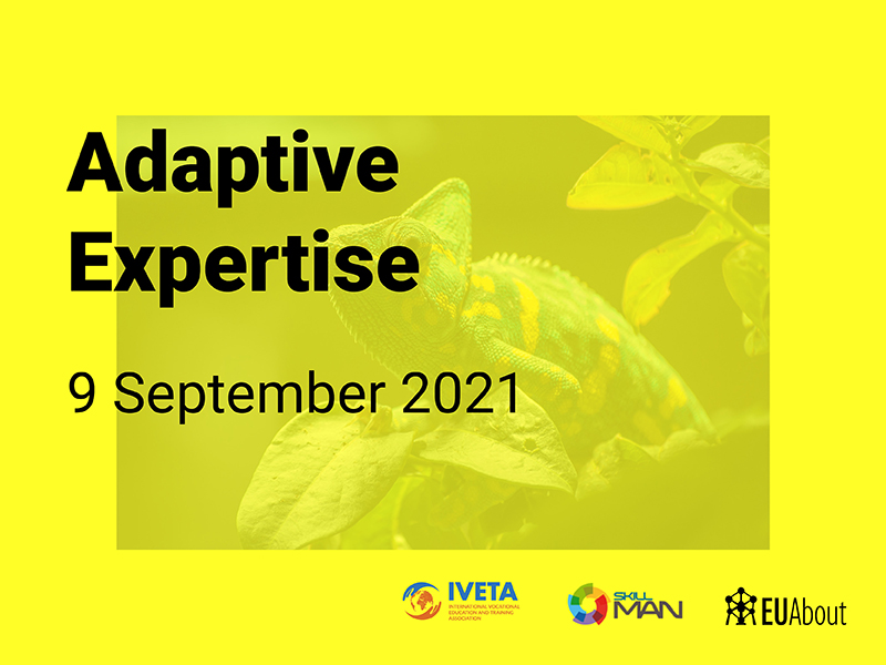 Adaptive expertise